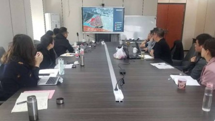 关于《3118云顶集团.红枫岭国际健康产业城》项目规划会议