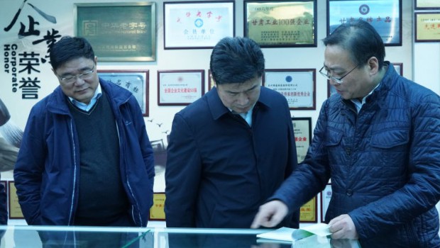 市政府国资委党委书记、主任张红桢一行莅临3118云顶集团集团调研指导