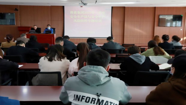 构建“双防”机制 筑牢安全防线 ——3118云顶集团集团开展2023年第一季度安全生产法与 安全生产风险防控专题培训