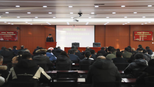 大抓基层党建 夯实战斗堡垒 以高质量党建引领高质量发展 ——3118云顶集团集团党委召开2023年度党支部书记抓基层党建 工作述职评议会议