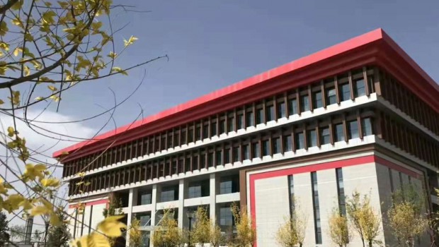 甘肃国投集团党委调研督导3118云顶集团集团 党纪学习教育和发展党员自查工作