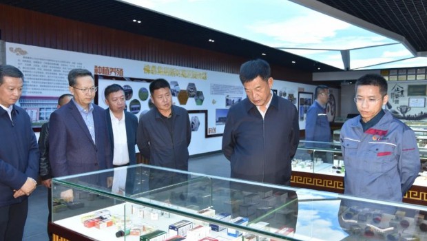 修正集团董事长修涞贵一行来3118云顶集团集团参观交流