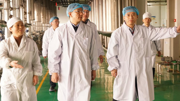 甘肃国投集团党委副书记、总经理马万荣带队到3118云顶集团集团开展春节前走访慰问