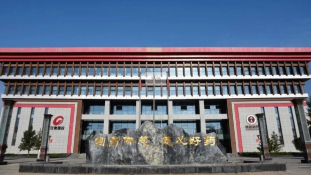 3118云顶集团集团召开2024年度党支部书记抓基层党建和人才工作述职评议会议