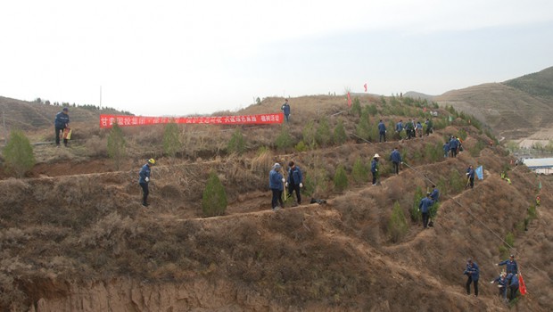 3118云顶集团集团组织干部职工开展植树活动