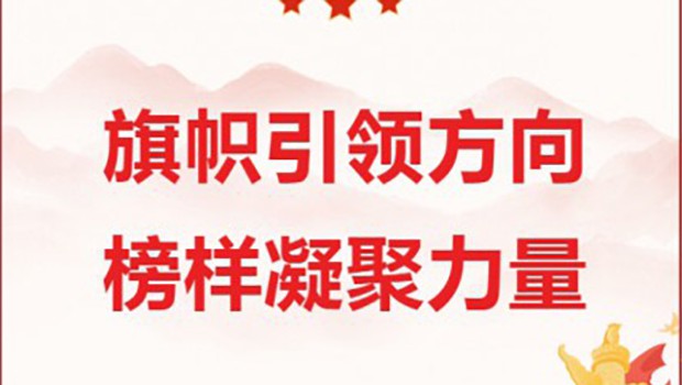3118云顶集团集团“两优一先”风采展（二）